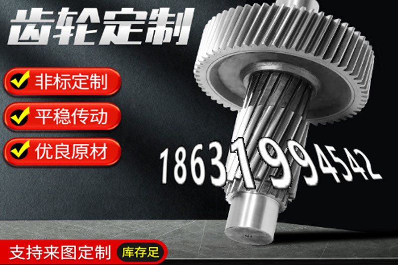 日本齿轮源头厂家